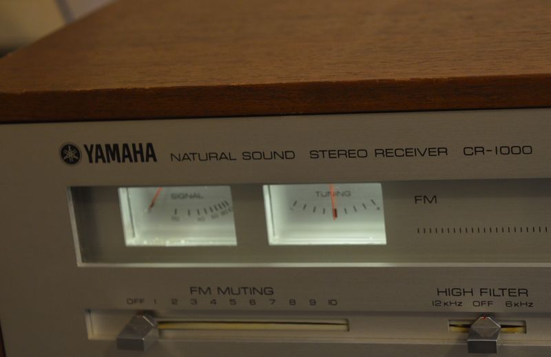 Yamaha CR1000 (1).JPG