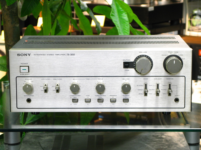 SONY TA-3650.jpg