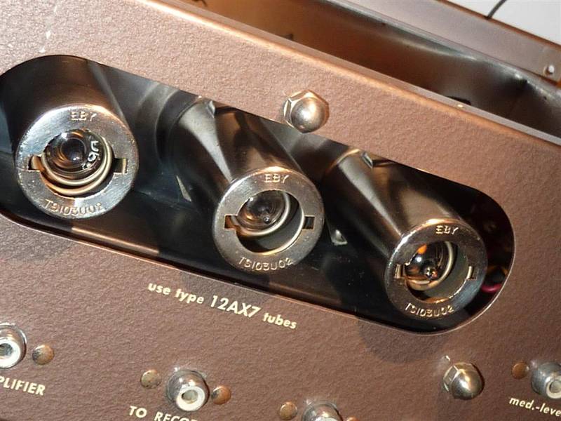 P1040616 (Large).JPG