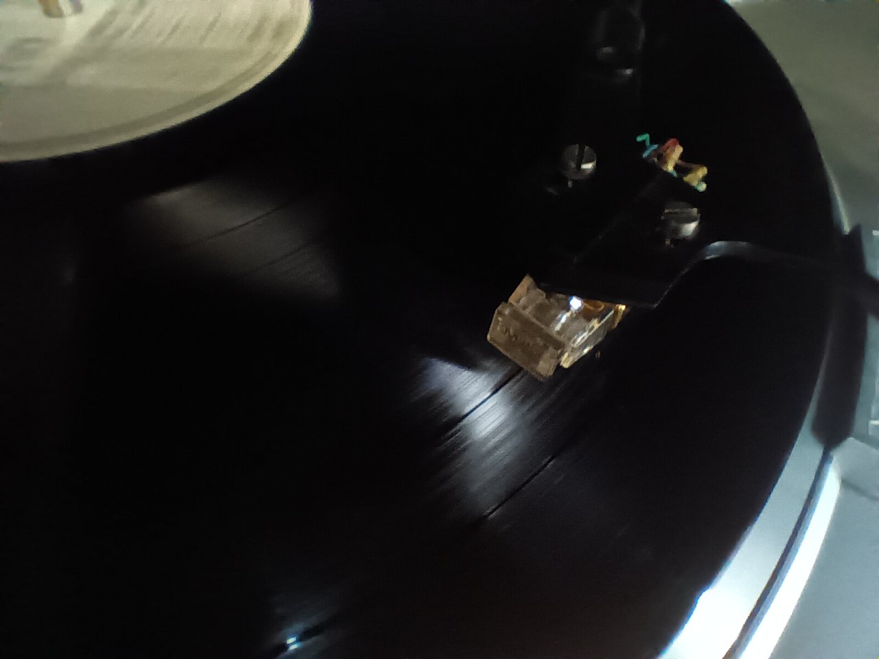 20240507_150305.jpg