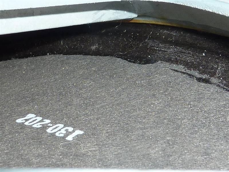 P1040931 (Large).JPG