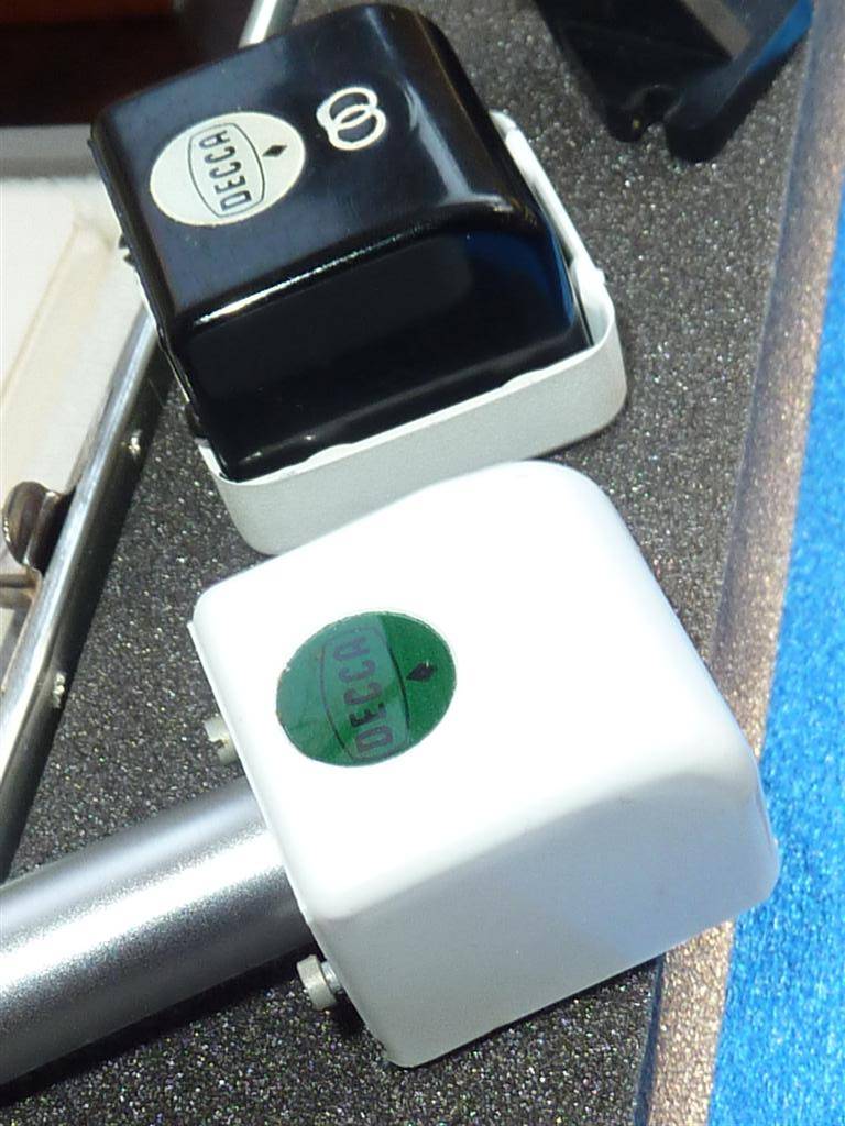 P1050651 (Large).JPG