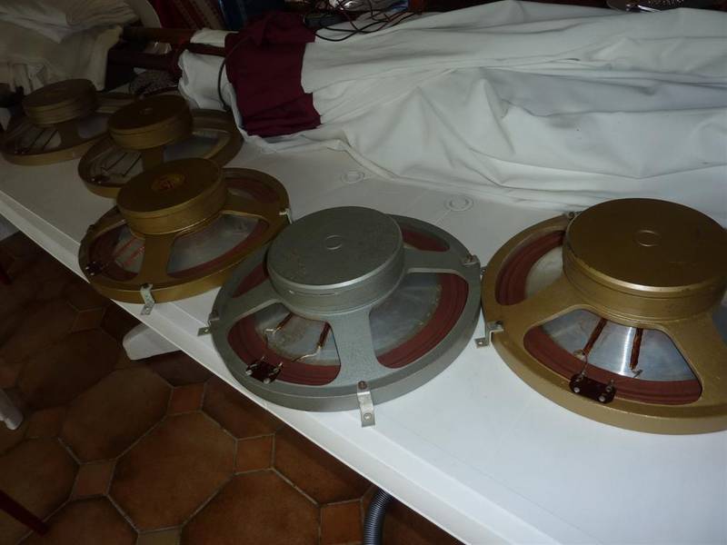 P1060241 (Large).JPG