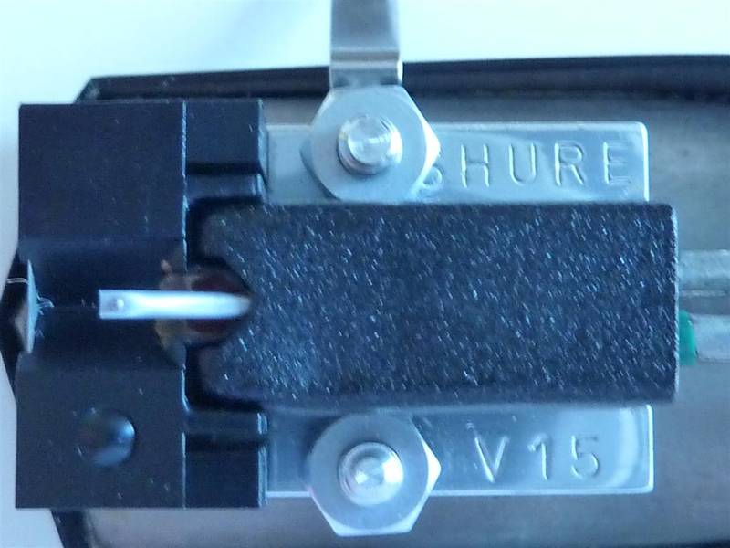 P1000457 (Large).JPG