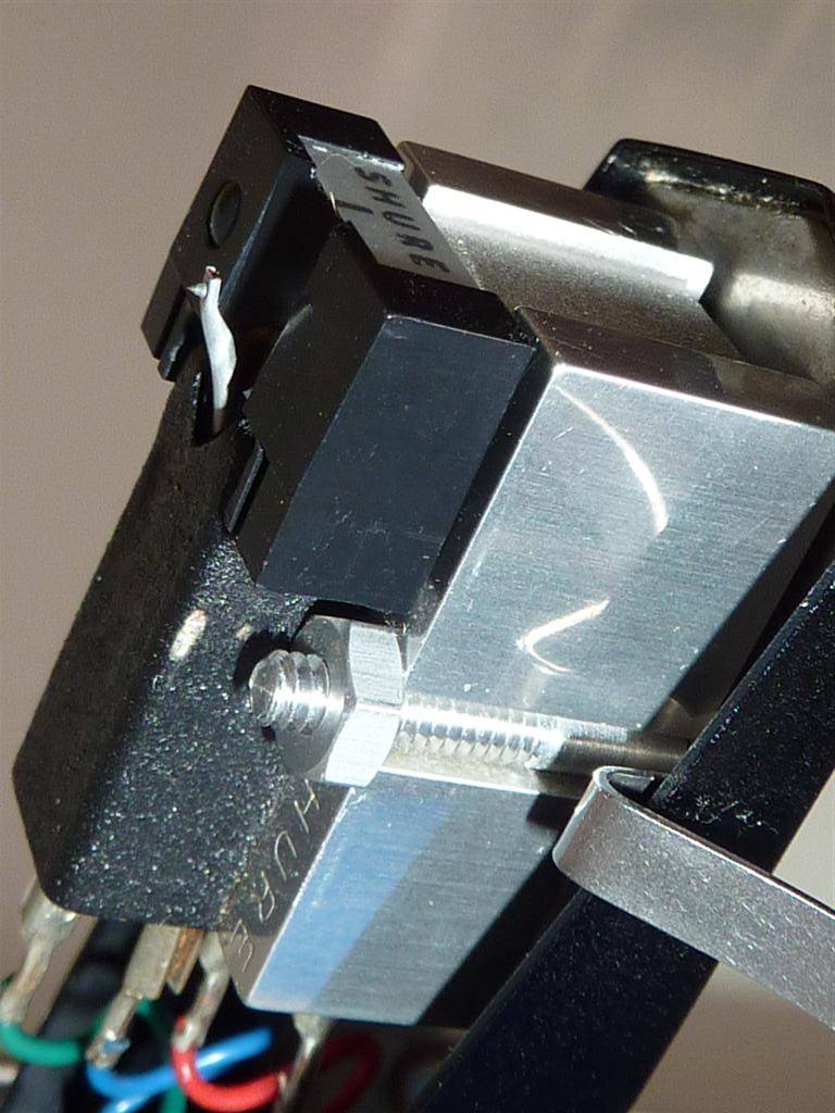 P1000480 (Large).JPG