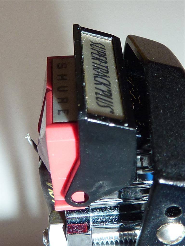 P1000478 (Large).JPG