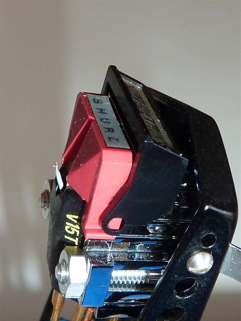 P1000477 (Large).JPG