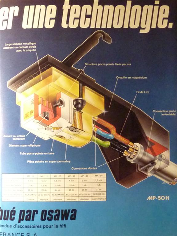 P1070726 (Large).JPG