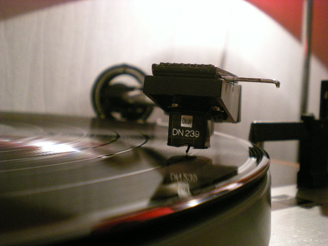 DSCN5771.JPG