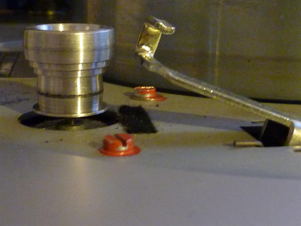 P1070938 (Large).JPG