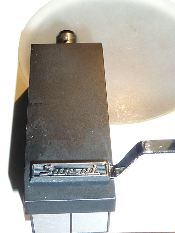 P1100469 (Copier).JPG