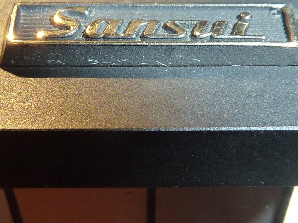 P1100471 (Copier).JPG