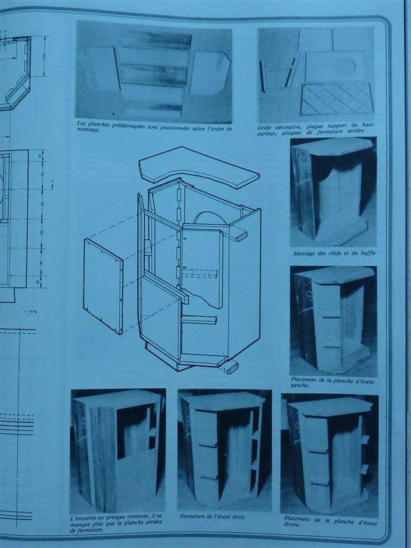 P1010321 (Large).JPG