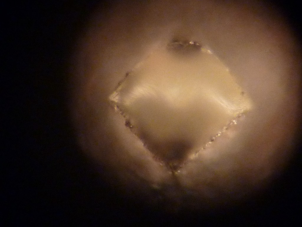 P1110395 (Copier).JPG