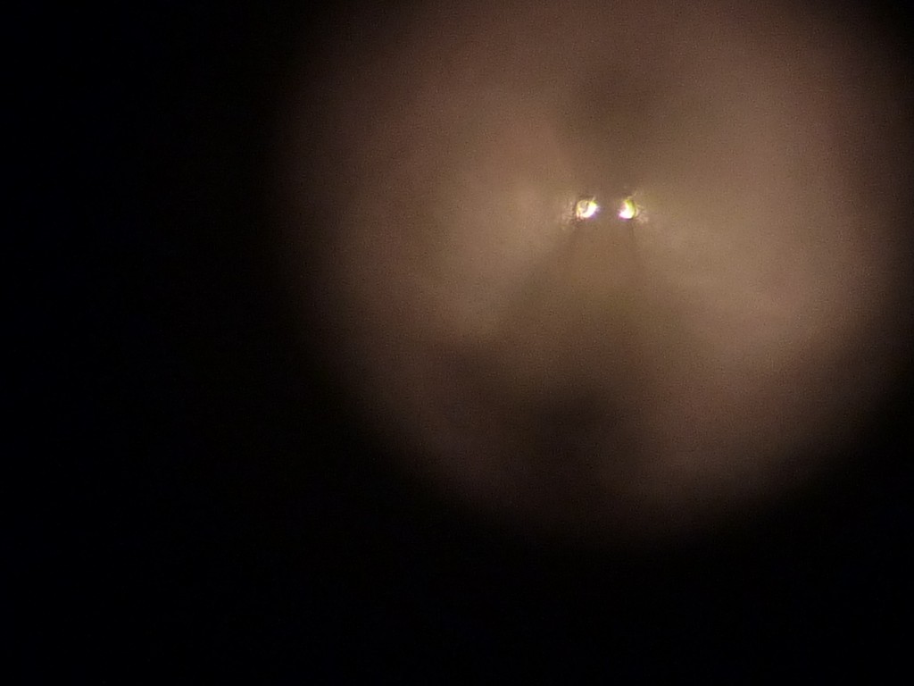 P1110396 (Copier).JPG