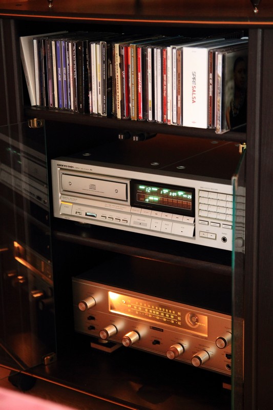 Pioneer LX-34 001m (800p).jpg