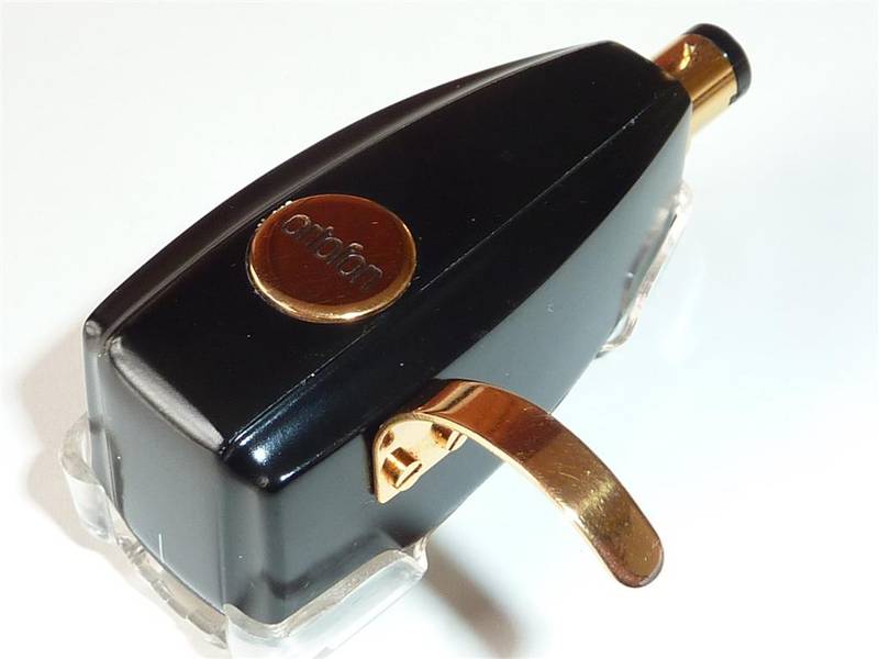 P1010036 (Large).JPG