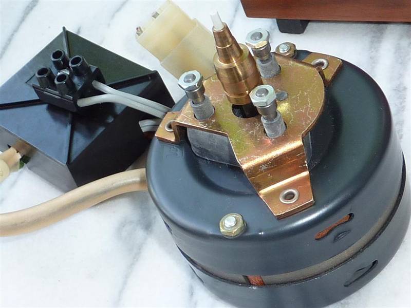 P1020151 (Large).JPG