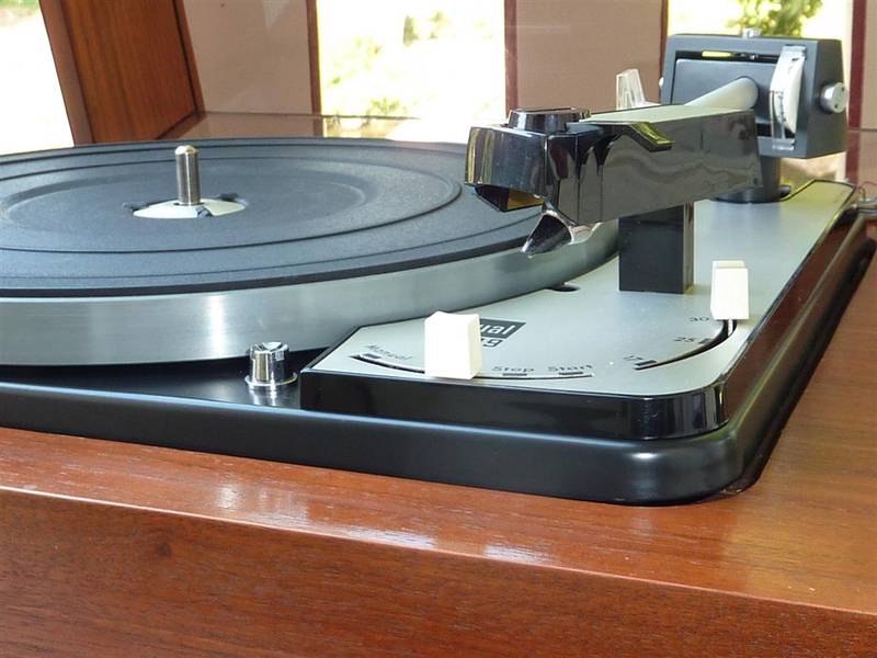 P1020142 (Large).JPG