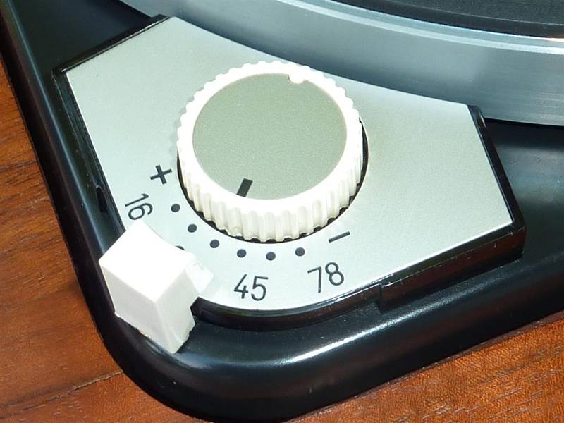 P1020143 (Large).JPG