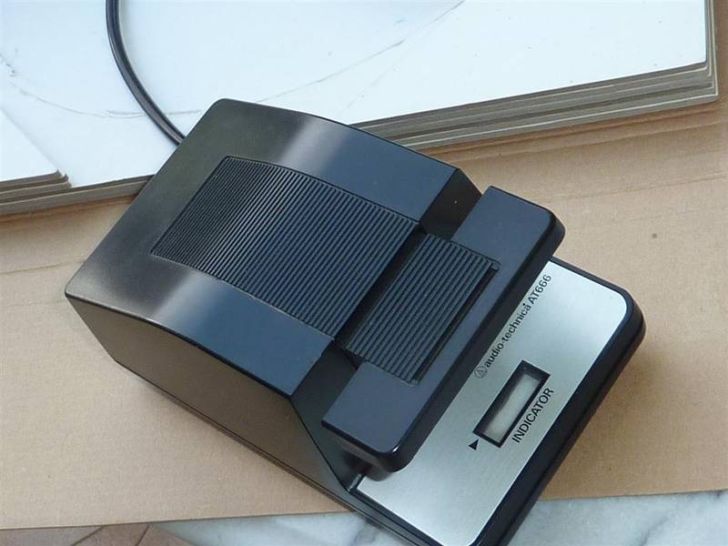 P1020268 (Large).JPG