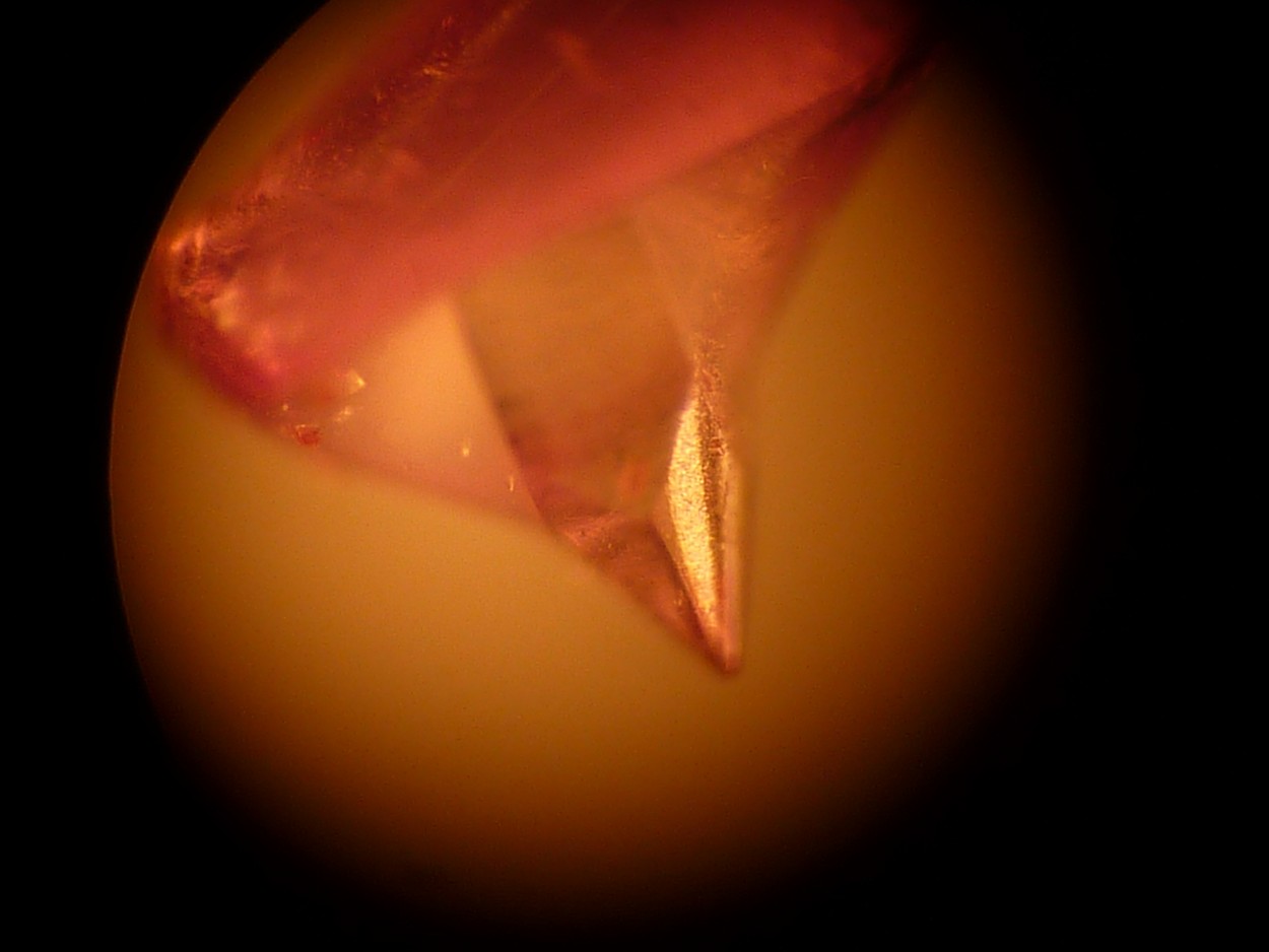 P1100463 (Copier).JPG