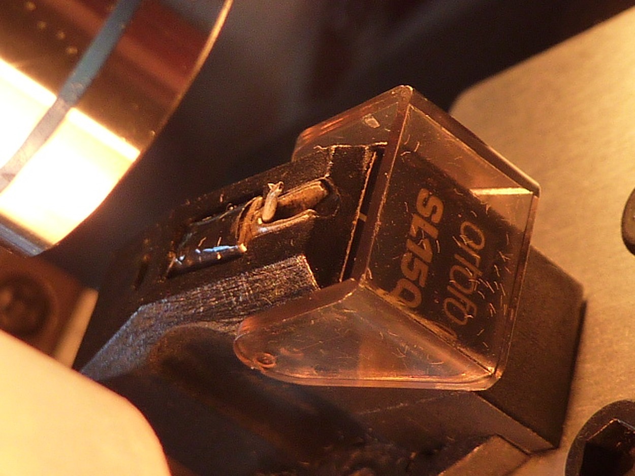 P1170133 (Copier).JPG