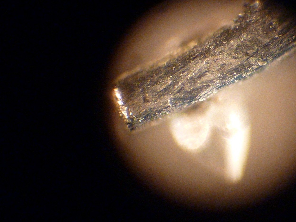 P1170134 (Copier).JPG