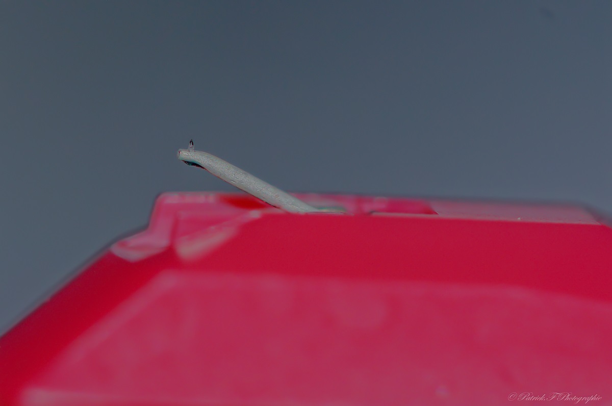 Lune corrigée par LR.jpg