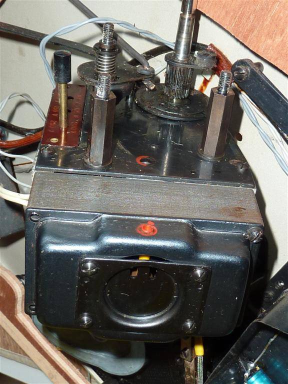 P1030812 (Large).JPG