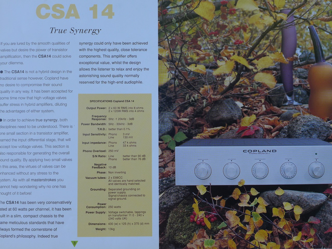 P1010832 (Copier).JPG