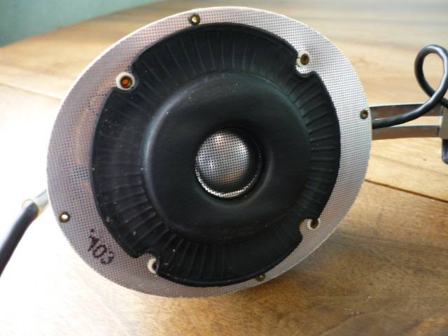 P1020461.JPG