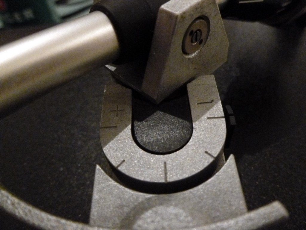P1000546.jpg