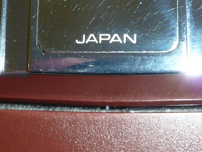 P1010173 (Large).JPG